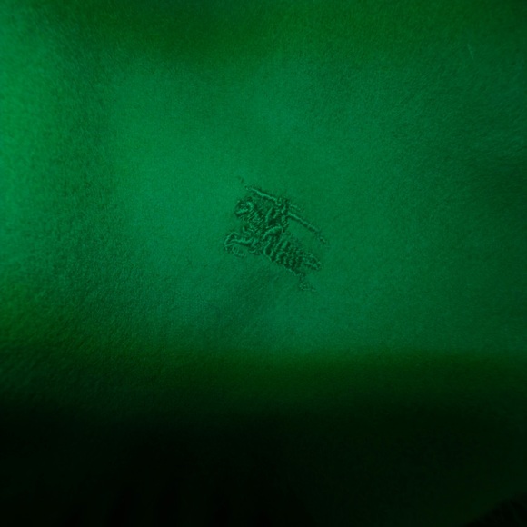 Burberry Vibrant Green lambsWool Scarf made in Italy - Picture 9 of 13